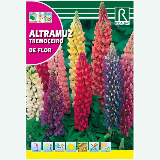 LIPIN DE FLEURS VARIÉES - ENVELOPPE DE GRAINES 4G