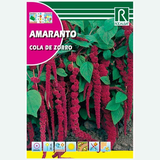 AMARANTO COLA DE ZORRO - SOBRE DE SEMILLAS 10G