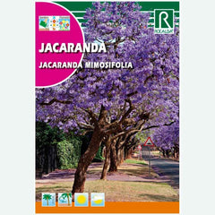 ÁRVORE DE JACARANDÁ - ENVELOPE DE SEMENTES 0,5G