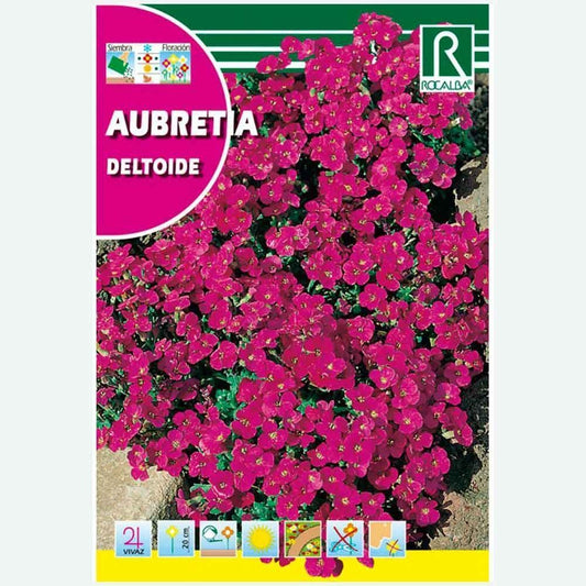 AUBRETIA DELTOIDE PURPURA VIOLETA - SOBRE DE SEMILLAS 0,5G