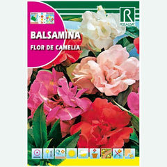 FLOR DE CAMÉLIA VARIADA DE BALSAMINA - AMOSTRA DE SEMENTES 4G