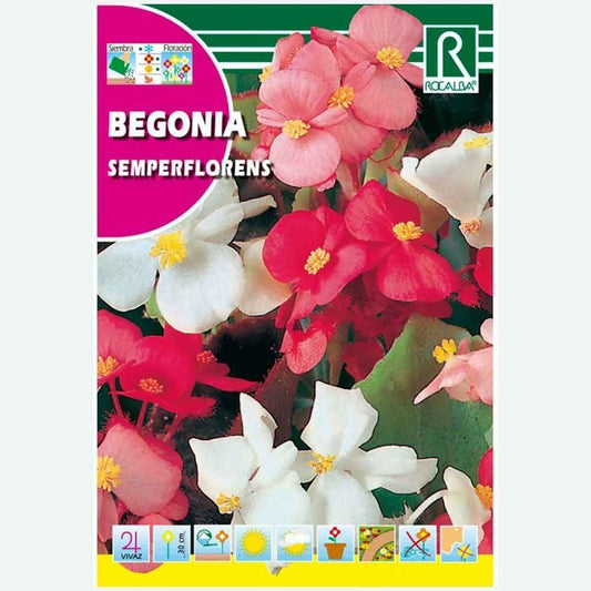 BEGONIA SEMPERFLORENS VARIADA - SOBRE DE SEMILLAS 0,1G