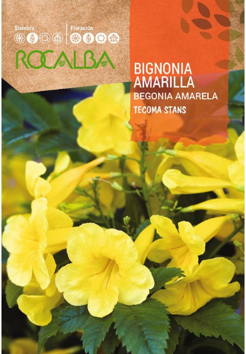 BIGNONIA AMARILLA - SOBRE DE SEMILLAS 1G – CultivoMiHuerto