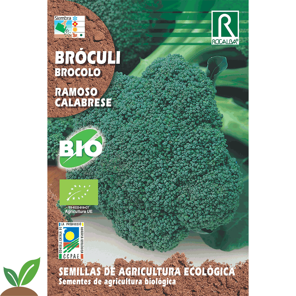 BROCOLI RAMOSO CALABRESE ECO - SEMILLAS ROCALBA