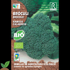 BROCOLI CALABRESE ECO RAMOSO - SEMENTES DE ROCALBA