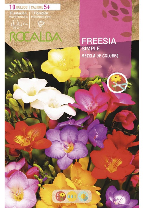 BULBO FREESIA SIMPLE MEZCLA DE COLORES- 10 UD