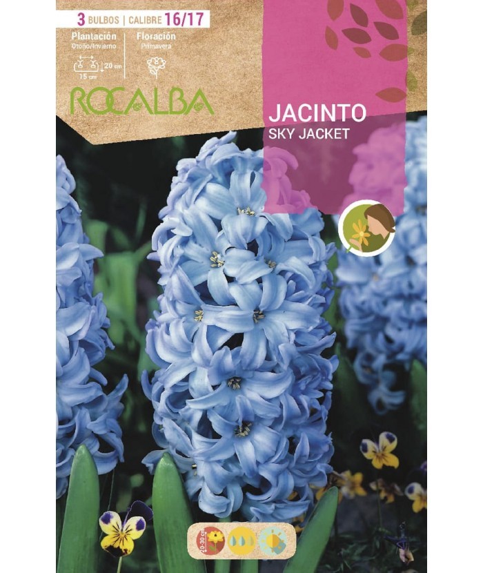BULBO JACINTO SKY JACKET AZUL - 3 UD