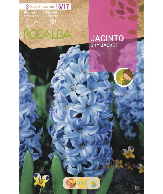 BULBO JACINTO SKY JACKET AZUL - 3 UD