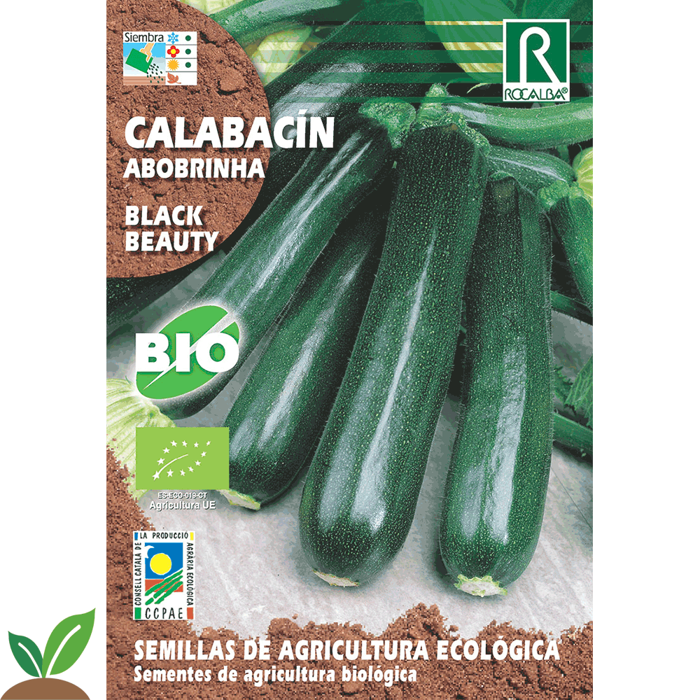CALABACIN BLACK BEAUTY ECO