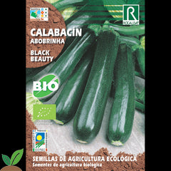 BELEZA NEGRA ECO ZUCCHINI