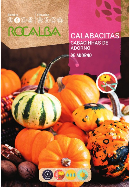 CALABACITAS DE ADORNO VARIADAS - SOBRE DE SEMILLAS 10G