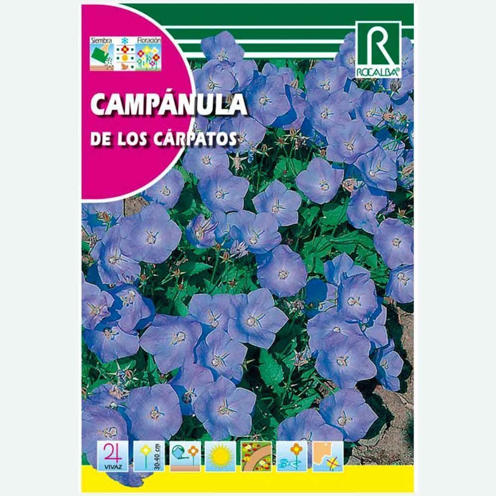 CAMPANULA DE LOS CARPATOS AZUL - SOBRE DE SEMILLAS 1G