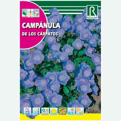 CAMPÂNULA Cárpatos AZUL - AMOSTRA DE SEMENTES 1G