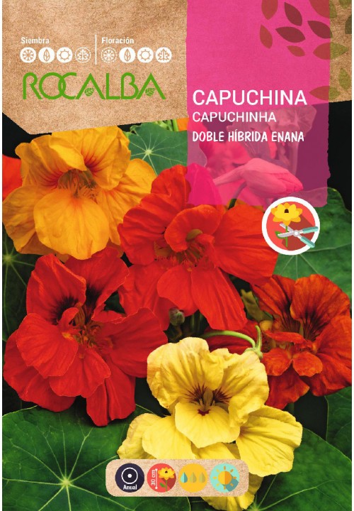 CAPUCHINA DOBLE HÍBRIDA ENANA VARIADA - SOBRE DE SEMILLAS 10G