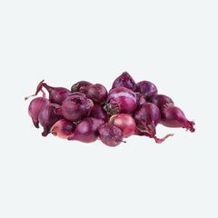 CEBOLLA DE SIEMBRA ROJA KARMEN COMRED - BULBOS MALLA 1KG