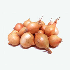 CEBOLLA DE SIEMBRA STTUTGARTER  AMARILLA - BULBOS MALLA 1KG