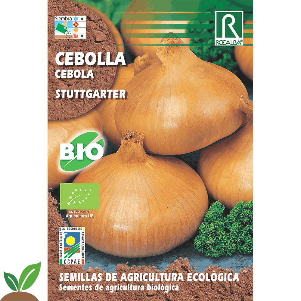 CEBOLLA STUTTGARTER ECO