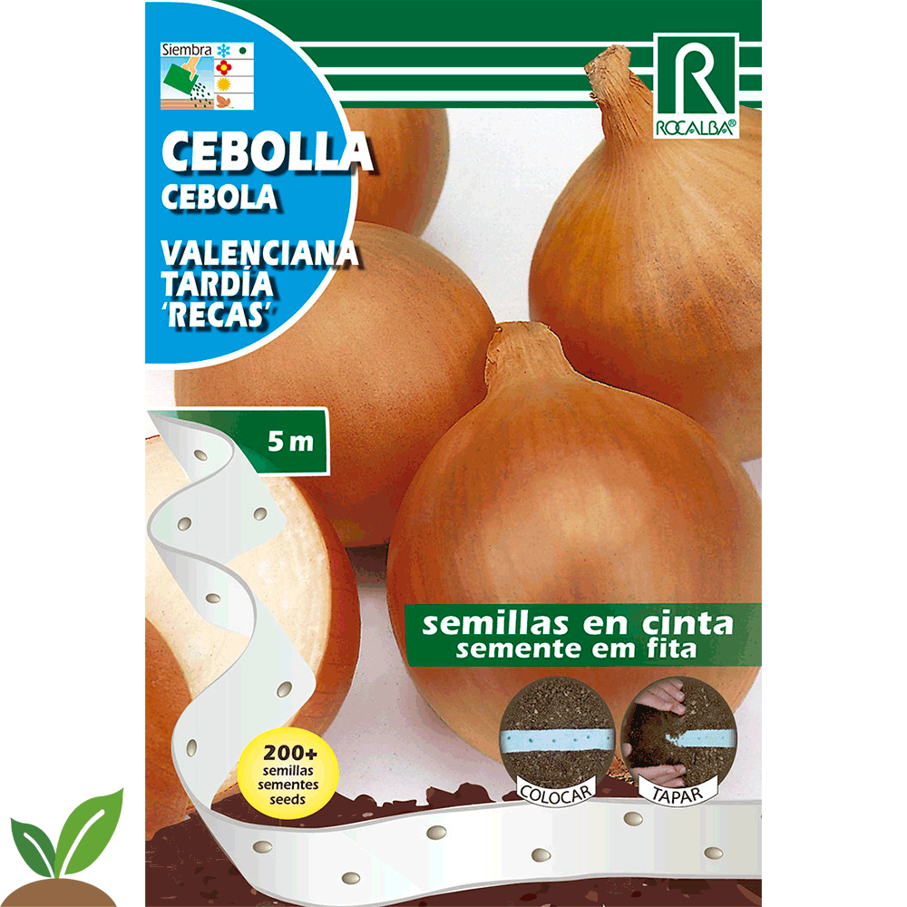 CEBOLLA VALENCIANA TARDIA "RECAS"