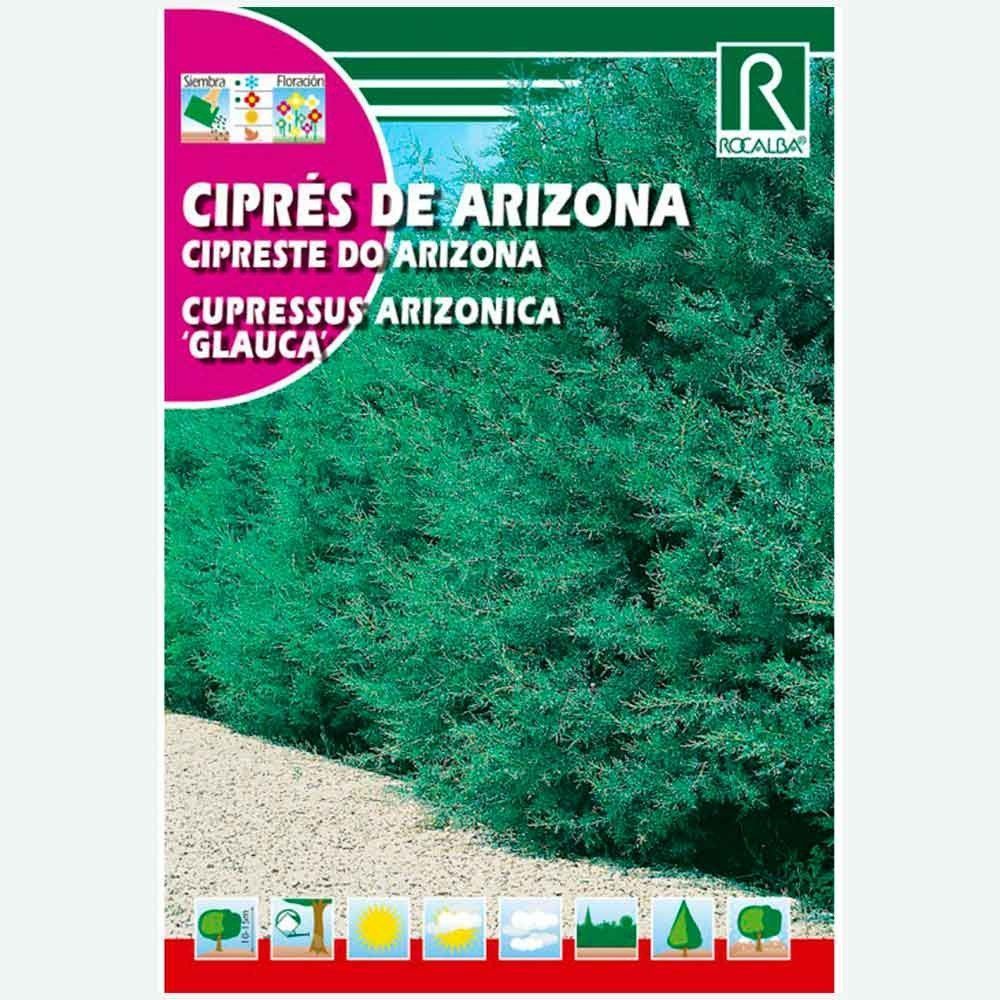 ARIZONA CYPRÈS - ENVELOPPE DE GRAINES 2 GR.