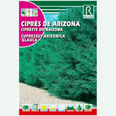CIPRES DE ARIZONA - SOBRE DE SEMILLAS 2 GR.