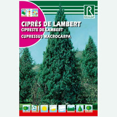 CIPRES DE LAMBERT - SOBRE DE SEMILLAS 1 GR.