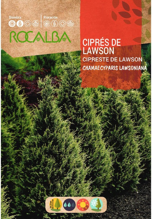 CIPRES DE LAWSON - SOBRE DE SEMILLAS 1 GR.