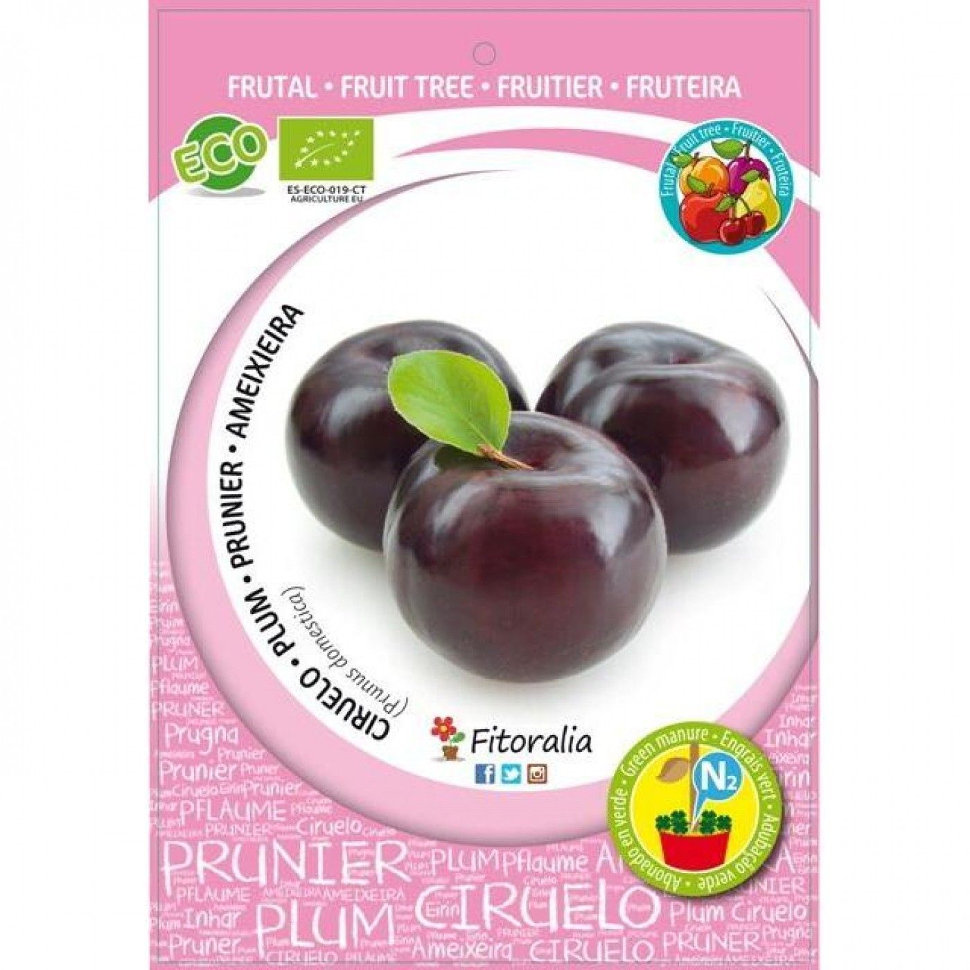 CIRUELO ANGELENO ECO - ARBOL FRUTAL