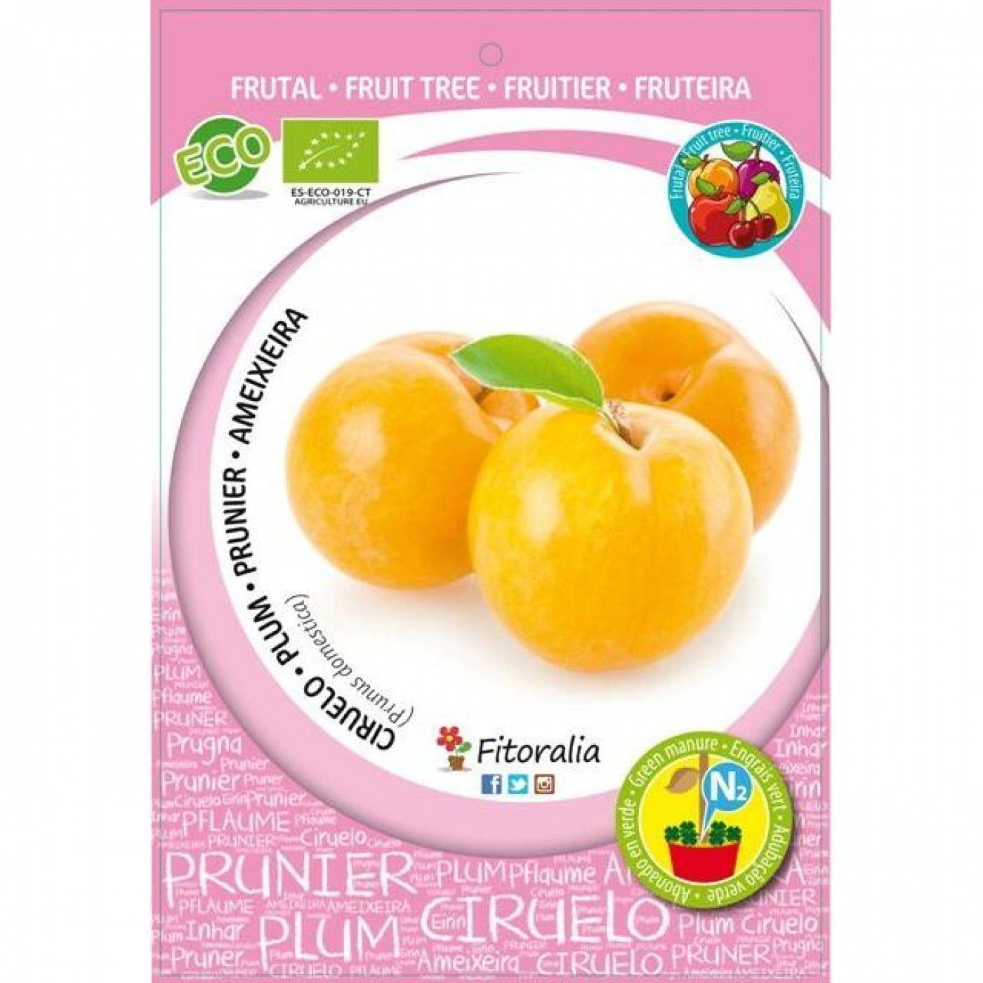 CIRUELO GOLDEN JAPAN ECO - ARBOL FRUTAL