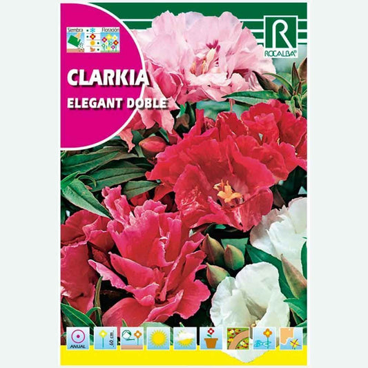 CLARKIA ELEGANT DOBLE VARIADA - SOBRE DE SEMILLAS 4G