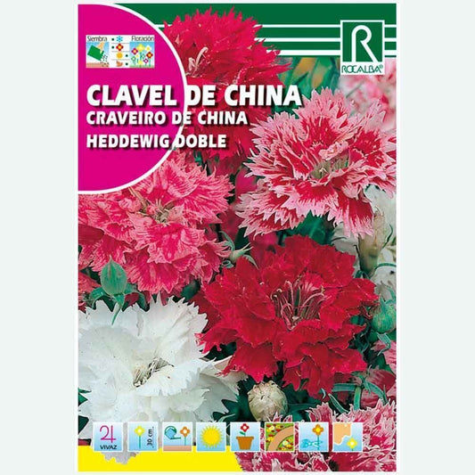 CLAVEL DE CHINA HEDDEWIG DOBLE VARIADO - SOBRE DE SEMILLAS 4G