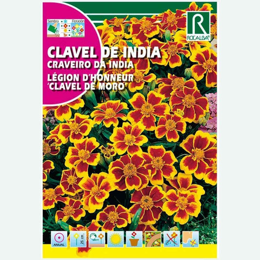 CLAVEL DE INDIA CLAVEL DE MORO SIMPLE ENANO - SOBRE DE SEMILLAS 4G