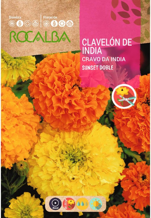 CLAVEL DE INDIA SUNSET DOBLE - 6GR