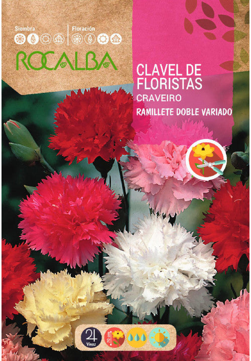 CLAVEL DE FLORISTAS RAMILLETE DOBLE VARIADO - SOBRE DE SEMILLAS 1G