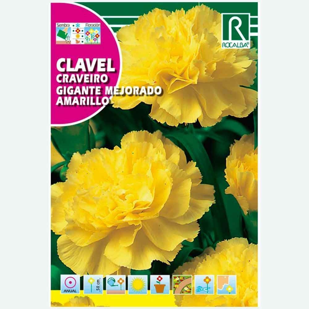 CRAVO GIGANTE AMARELO MELHORADO - AMOSTRA DE SEMENTES 1G