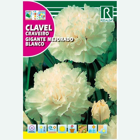 CLAVEL GIGANTE MEJORADO BLANCO - SOBRE DE SEMILLAS 1G