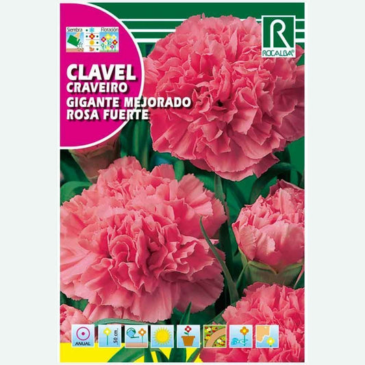 OEILLET GÉANT AMÉLIORÉ ROSE CHAUD - ÉCHANTILLON DE GRAINES 1G