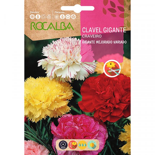 CLAVEL GIGANTE MEJORADO VARIADO - SOBRE DE SEMILLAS 1G