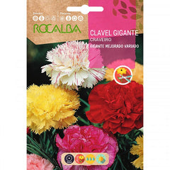 CRAVO GIGANTE MELHORADO VARIADO - AMOSTRA DE SEMENTES 1G