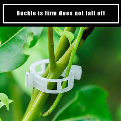 CLIP DE ANEL DE TUBO 100 UNIDADES