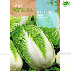 REPOLHO CHINÊS EXPRESS 8 GR. - SEMENTES DE ROCALBA
