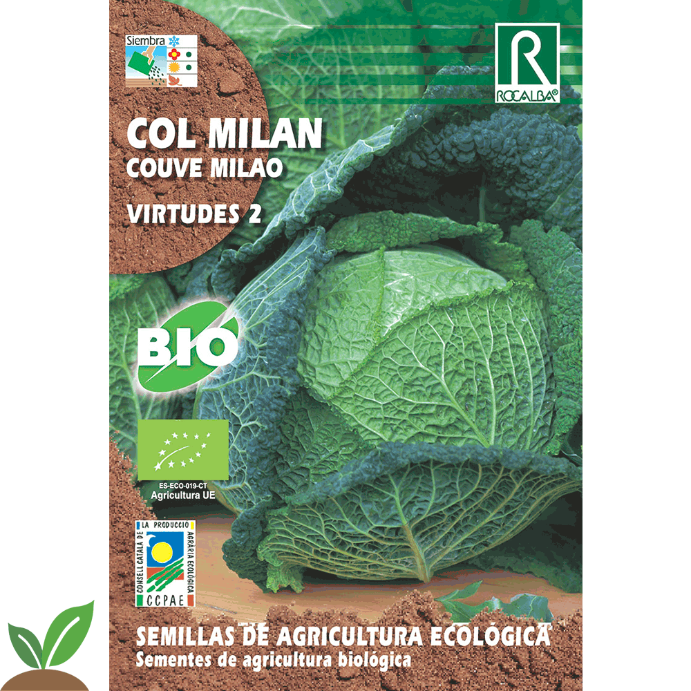 COL MILAN VIRTUDES 2 ECO