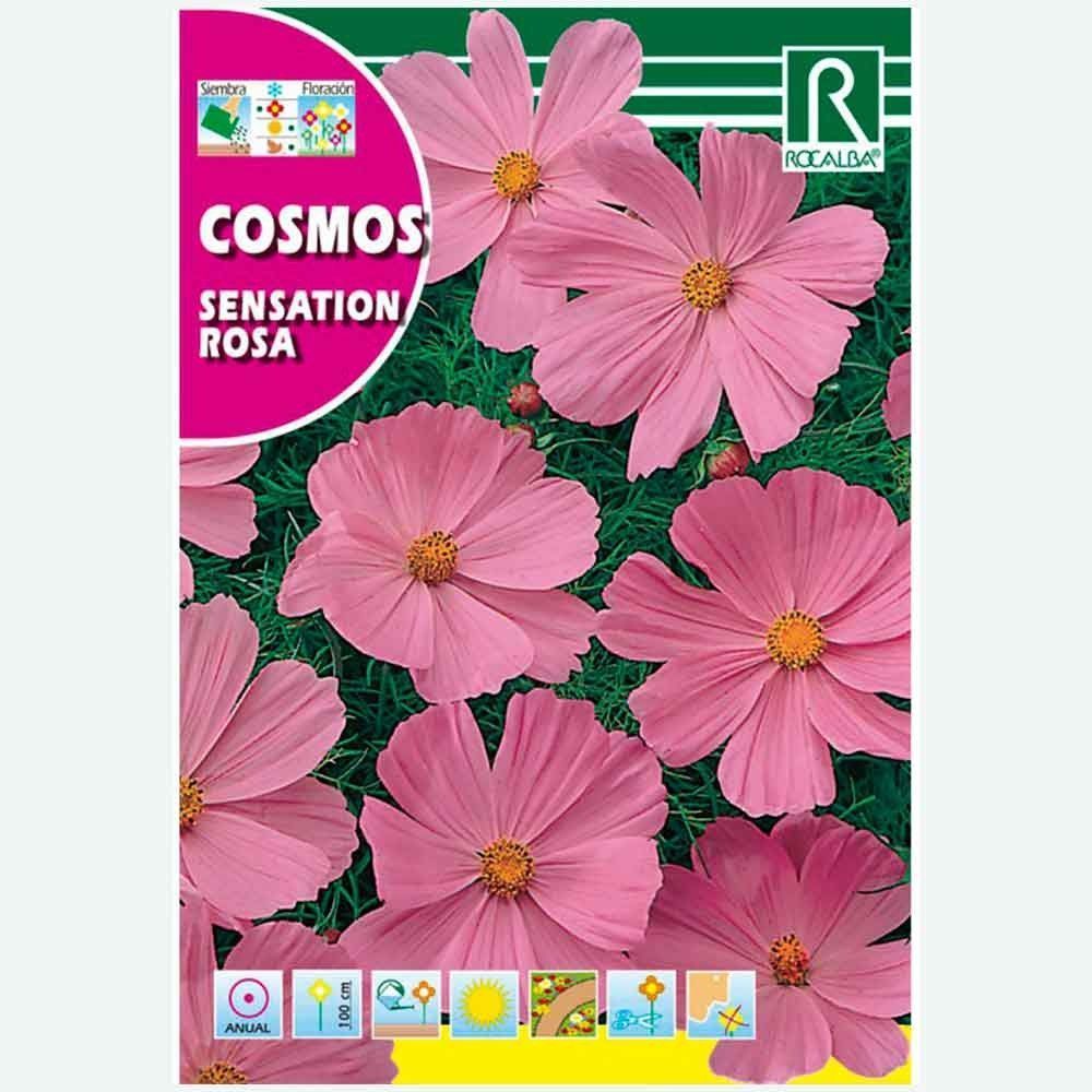 COSMOS SENSATIO, ROSE - ENVELOPPE DE GRAINES 6G