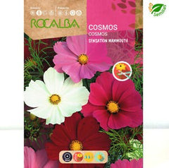 COSMOS SENSATION MAMMOUTH GIANT VARIED - AMOSTRA DE SEMENTES 10G
