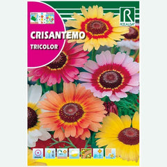 CRISÂNTEMO TRICOLOR VARIADO - ENVELOPE SEMENTES 5G