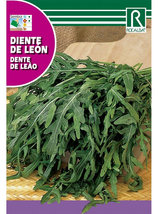 DIENTE DE LEÓN - 0.5GR