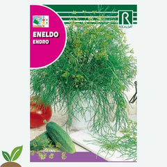 DILL - AMOSTRA DE SEMENTES 10G