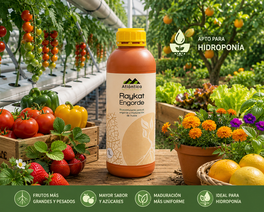Raykat® 1 l. Engorde | Bioestimulante para Engorde de Frutos Apto para Hidroponía