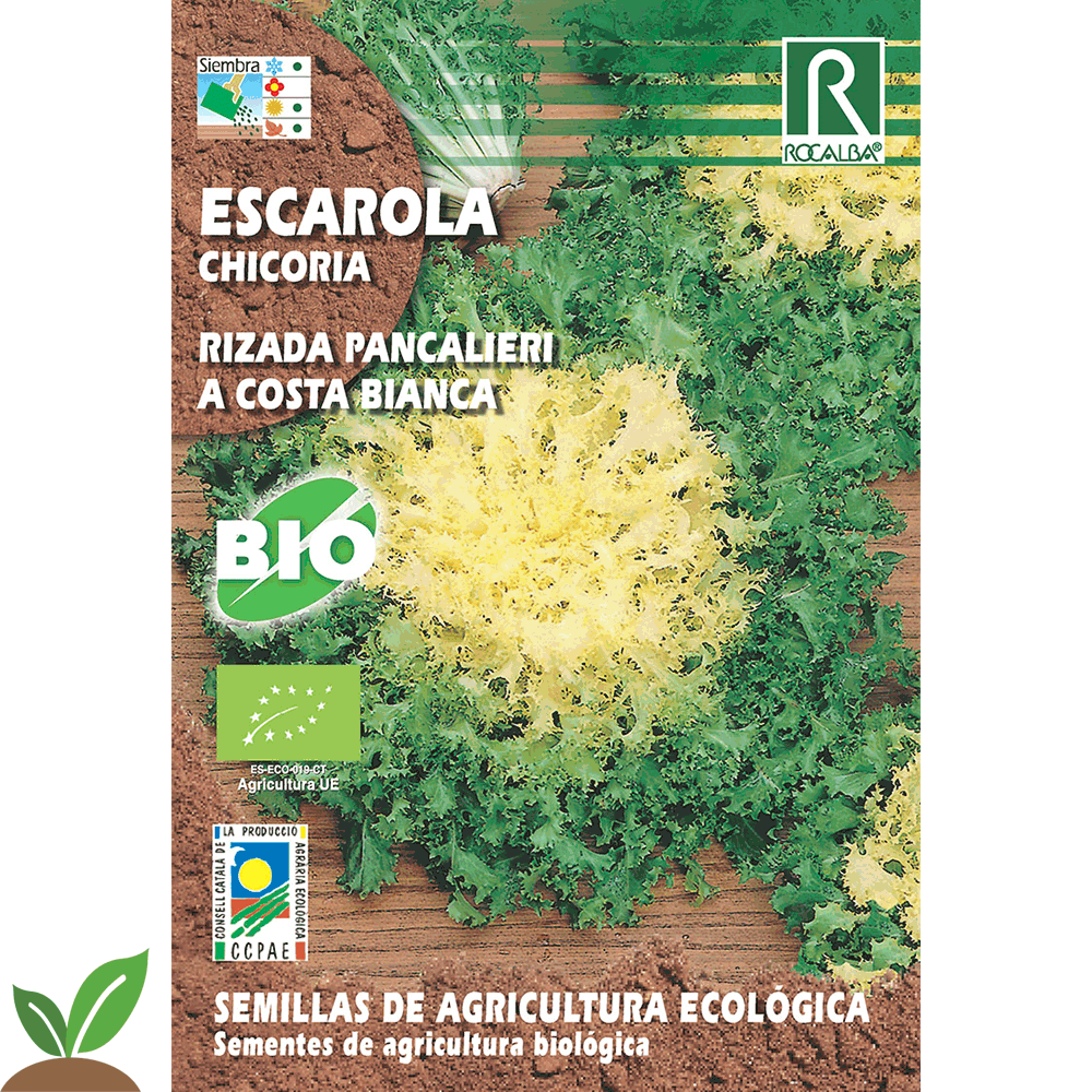 ESCAROLA RIZADA  ECO - ROCALBA