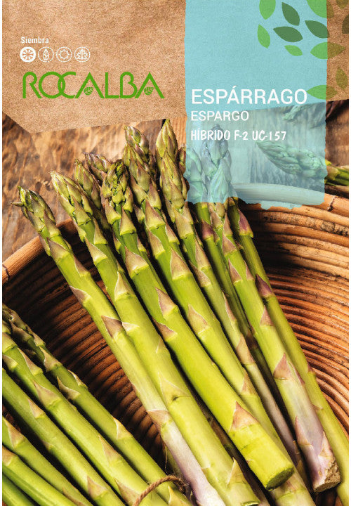 SEMILLA ESPARRAGO F-2 HIBRIDO 3 GR.