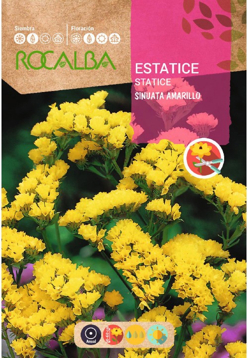 STATICE SINUATA JAUNE - ENVELOPPE DE GRAINES 0,5G